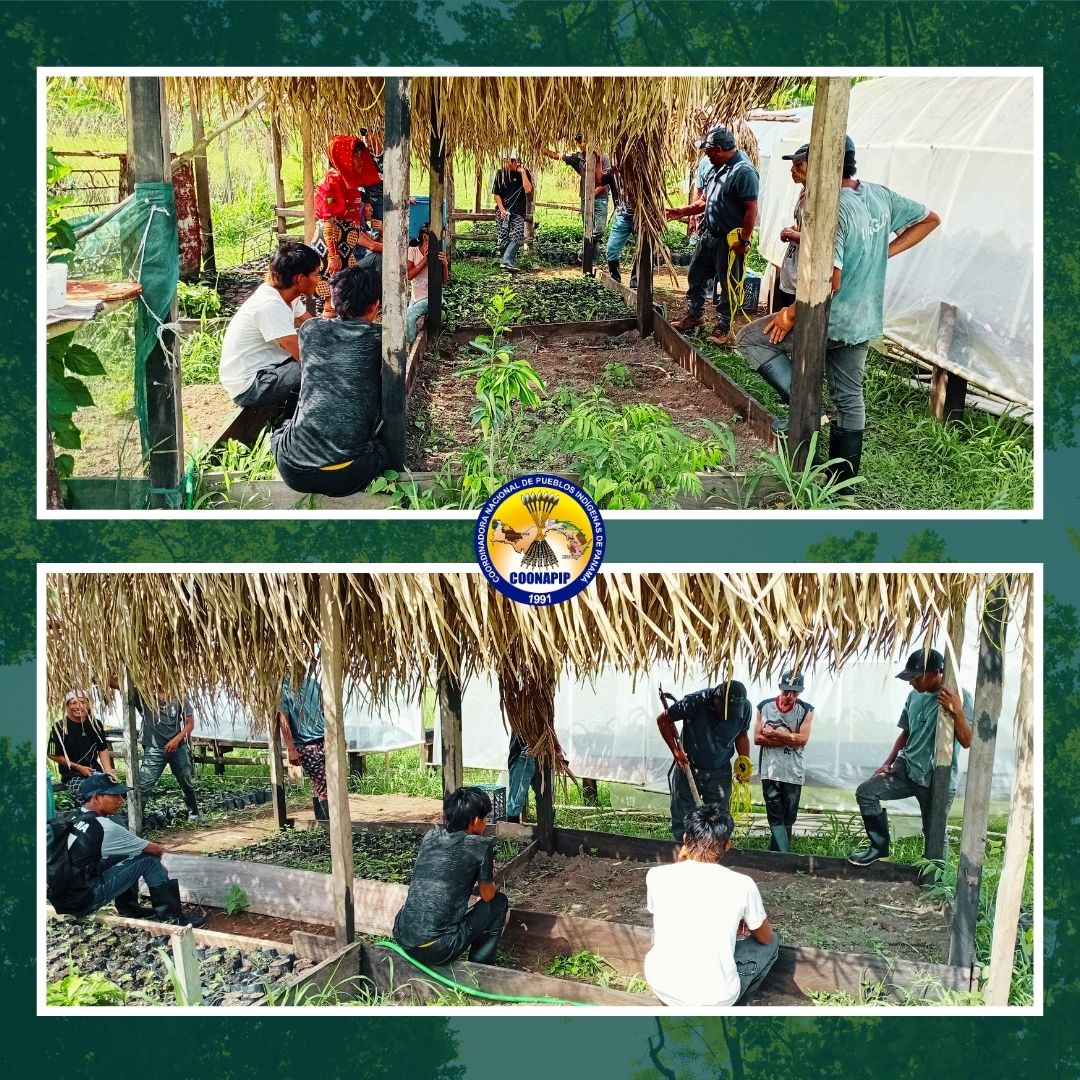 Fase teórica del taller